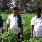 Kurubur Shantakumar, flanked by his farmer friends in a field of chia, the crop that has brought them good financial benefits (Photo by Hiren Kumar Bose)