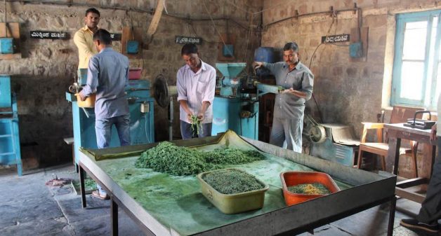 The soap-making unit of the Khadi and Gramodyog Sahakari Uttpadak Sangha in Hudali is known for its nominally priced Kutir soap made of anti-bacterial neem oil (Photo by Amoolya Rajappa)
