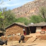 Bera, a village of pastoralists, is one of the 29 villages to be relocated from Sariska Tiger Reserve area (Photo by Tarun Kanti Bose)
