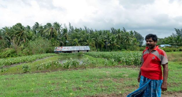 Broad bed and furrow system of land shaping has helped farmers like Sudhir Datta overcome the effects of extreme weather events and increase farm income (Photo by Sharada Balasubramanian)