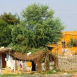 The new government can improve the lives of the rural populace with a few initiatives (Photo by Maureen Barlin)