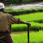 Modernizing agriculture is the need of the hour (Photo by Nandu Kumar)