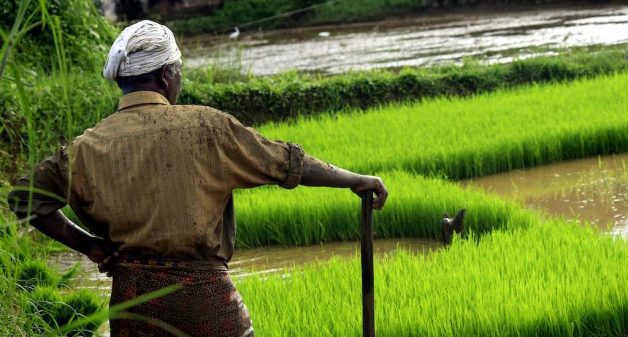 Modernizing agriculture is the need of the hour (Photo by Nandu Kumar)