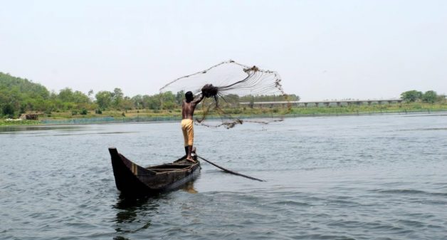 Fishing in the Ansupa Lake (Photo by Basudev Mahapatra)