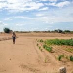 The desertification of Rayalaseema has intensified the farming crisis in the region (Photo by Rahul M.)