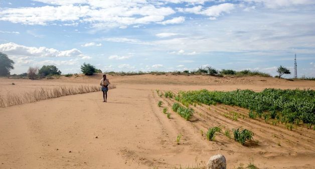 The desertification of Rayalaseema has intensified the farming crisis in the region (Photo by Rahul M.)