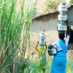 It is invariably the women who are burdened with the task of getting water to rural homes (Photo by Daniel Bachhuber)