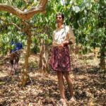 Coffee farmers like Augustine Vadakil are struggling with declining returns (Photo by Vishaka George)