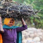 woman carrying bundle of sticks