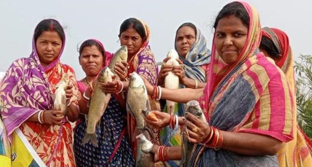 Women showing their harvest of fish they reared in their village pond