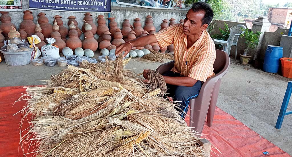 Sudam Sahu conserves native seeds using traditional methods