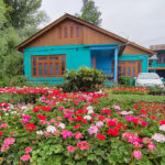 A backyard that has been turned into a plant nursery
