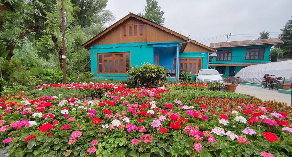A backyard that has been turned into a plant nursery