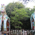a sacred grove guarded by an Ayyanar deity