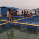 fishermen practising cage aquaculture in the Satiguda Dam