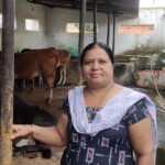 A single cow of Namita Patojoshi develops into a dairy farm.