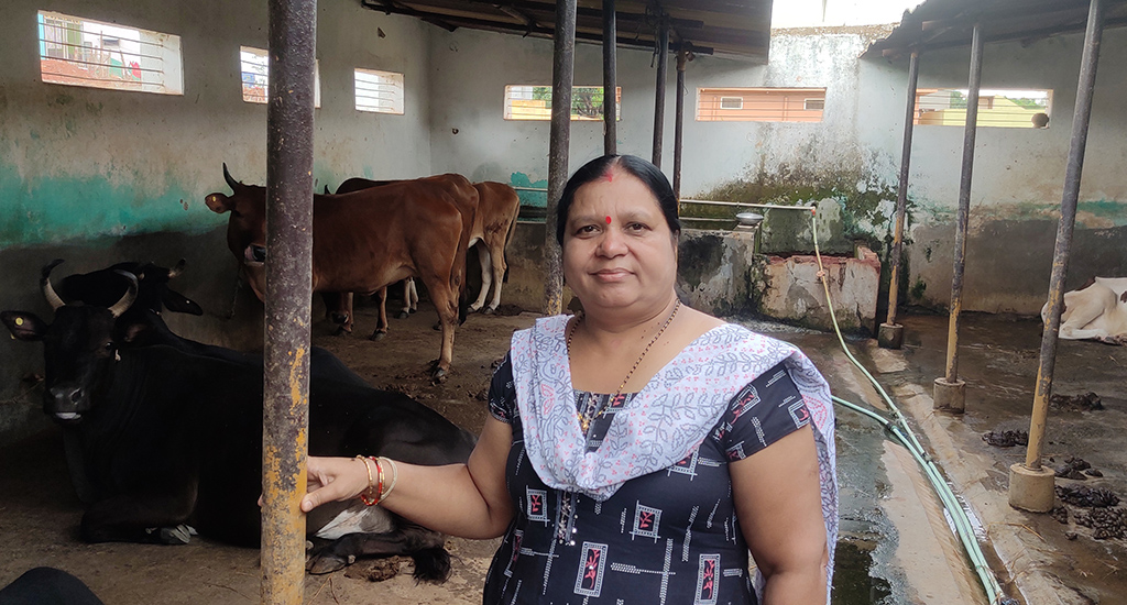 A single cow of Namita Patojoshi develops into a dairy farm.