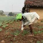Patel working in a farm that is not his own