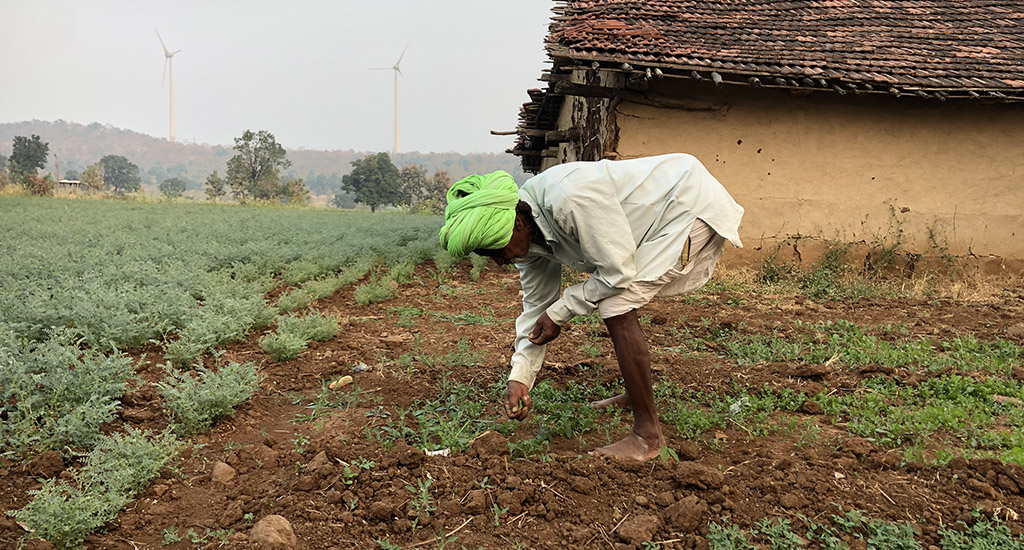 Patel working in a farm that is not his own
